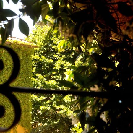 Borgo Lucignanello Bandini Villa San Giovanni dʼAsso Kültér fotó