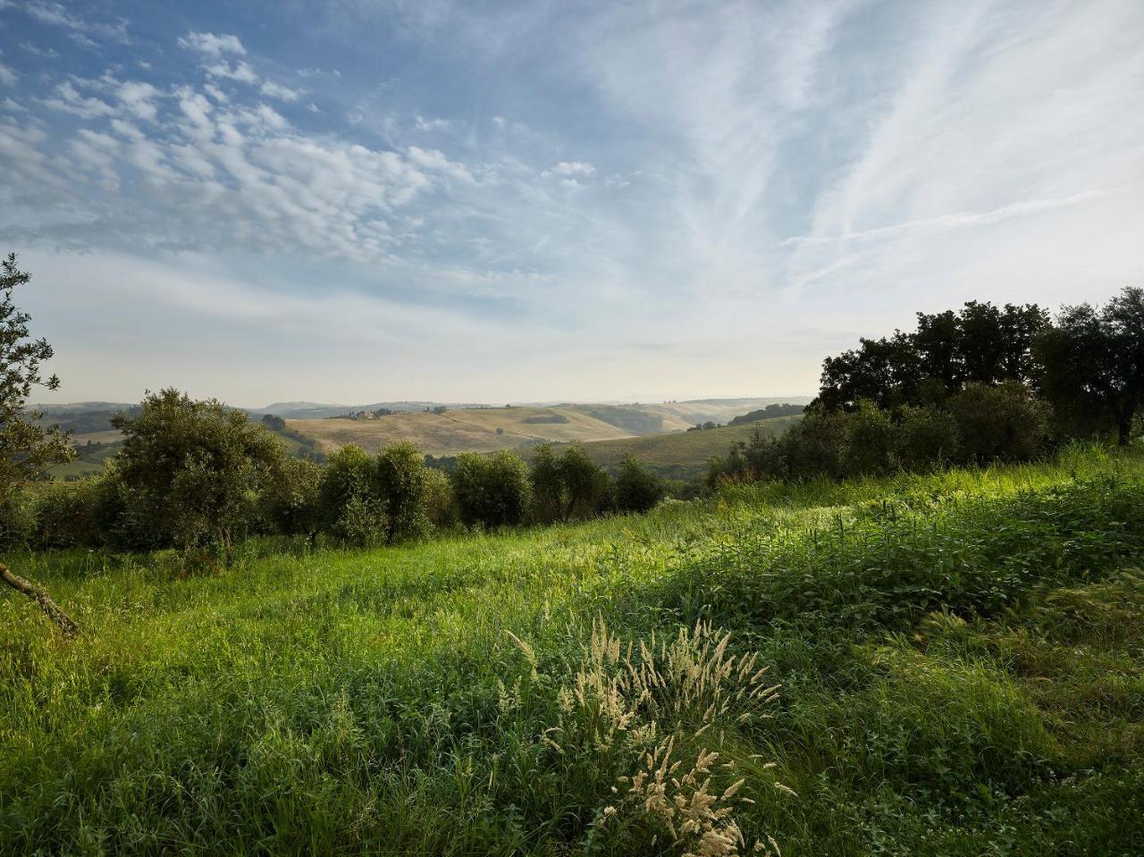Borgo Lucignanello Bandini Villa San Giovanni dʼAsso Kültér fotó