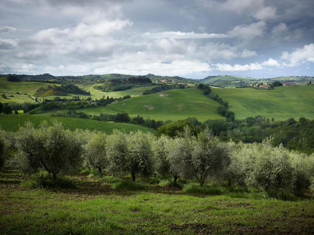 Borgo Lucignanello Bandini Villa San Giovanni dʼAsso Kültér fotó